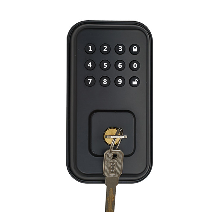 Cerradura de puerta elegante de la seguridad de la huella dactilar eléctrica magnética elegante biométrica de la cerradura