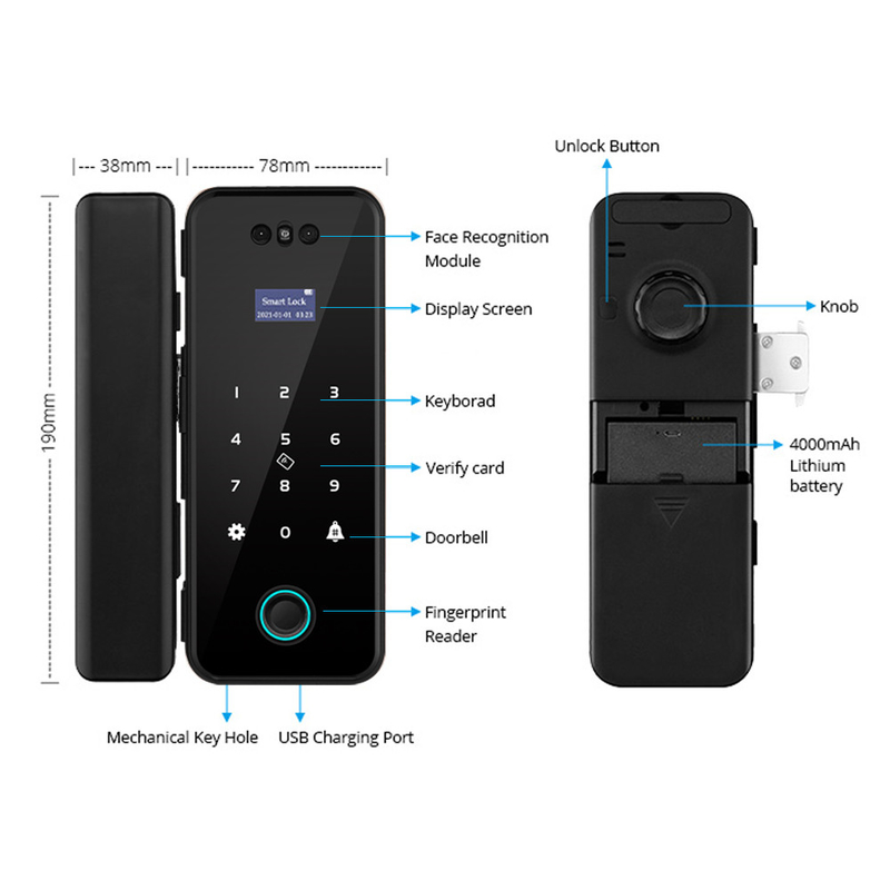 La cerradura de puerta elegante de Digitaces del control de acceso Tuya hace frente a la cerradura de puerta del reconocimiento