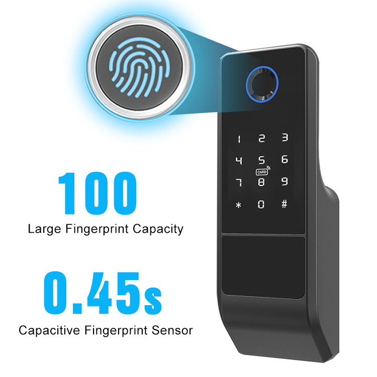 El doble biométrico de Smart de la cerradura de puerta de la huella dactilar de Wifi del App de Digitaces echó a un lado